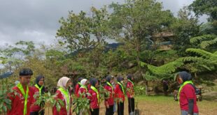 Racana UIN Saizu Tanamkan Kepedulian Lingkungan Lewat Scout for Green